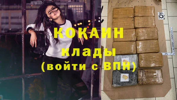 дурь Бородино