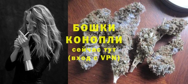стаф Богданович