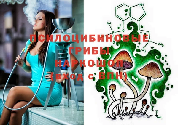 трава Верхнеуральск
