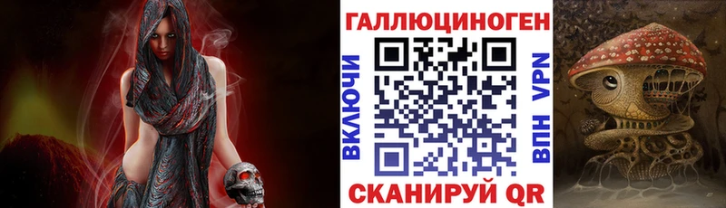 купить закладку  Дальнегорск  Галлюциногенные грибы GOLDEN TEACHER 